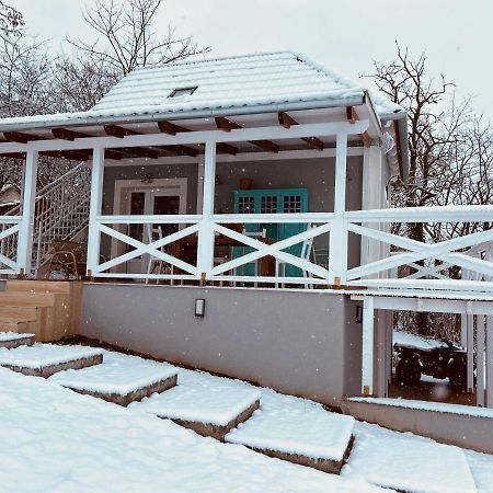 Dandelion "Zsalya" Vendeghaz Villa Kisapati Ngoại thất bức ảnh